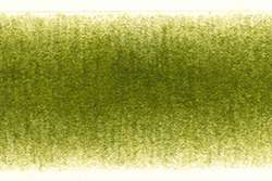 DERWENT | PROCOLOUR kleurpotlood — los, Foliage