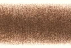 DERWENT | PROCOLOUR kleurpotlood — los, Copper beech