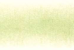 DERWENT | PROCOLOUR kleurpotlood — los, Light moss