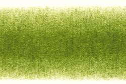 DERWENT | PROCOLOUR kleurpotlood — los, Moss green