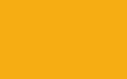 MOLOTOW™ FLAME™ ORANGE, 400 ml, Curry FO-113
