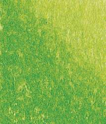 Conté à Paris™ | pastelpotloden 1355, Lichtgroen