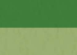 Inkt Abstract Sennelier, 30 ml, Permanent green light