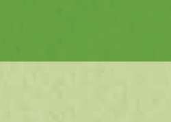 Inkt Abstract Sennelier, 30 ml, Bright yellow green