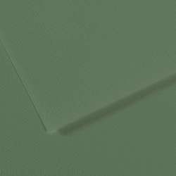 CANSON® Mi-Teintes® gekleurd tekenpapier, vel 50 x 65cm (min.5 vel), Salie