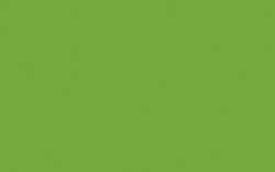 Indische inkt O’Color, 60 ml, Lentegroen