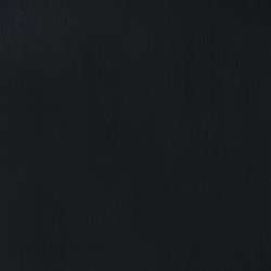 Ivory black