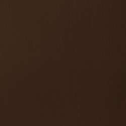 Raw umber
