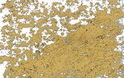 JAXON® | 1000 Oliepastel — los, losse pastels, d 18 mm, Goud