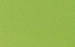 Clairefontaine | Fotokarton — 25-pak, 120 g/m², Apple green