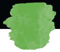 FINETEC | PREMIUM neon colours — los, hele nap, Neon green