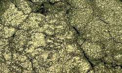 Powertex® Color pigmenten, pot 40ml