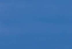 Talens | Art Creation acrylverf, 750 ml, Grijsblauw