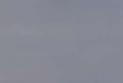 Talens | Art Creation acrylverf, 750 ml, Neutraalgrijs