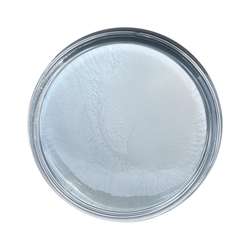 eli-chem resins | Resi-Tint MAX pigmentpasta — parelmoer, 50 g, Frost white