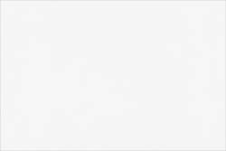 PAPERTREE Lokta-papier, 50 cm x 70 cm, Naturel