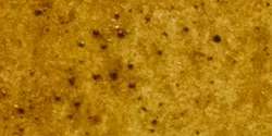MICHAEL HARDING | ARTISTS aquarelverf — los, tube 15 ml, Transparent oxide yellow