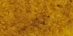 MICHAEL HARDING | ARTISTS aquarelverf — los, tube 15 ml, New gamboge