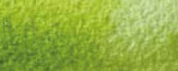 CARAN d'ACHE® | MUSEUM AQUARELLE aquarelpotlood, Olive