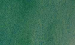 WHITE NIGHTS™ granulerende aquarelverf - los, hele nap