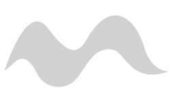 STAEDTLER® | Pigment soft brush pen 372 — los, Cool grey light