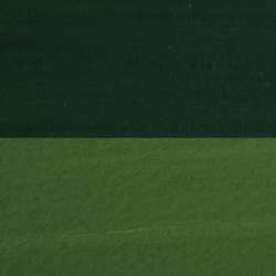 DANIEL SMITH | EXTRA FINE™ gouache — los, tube 15 ml, Sap green