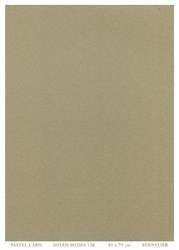 SENNELIER | PASTEL CARD pastelpapier ○ 410 g/m² — losse vellen, 50 cm x 70 cm, Light gray