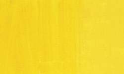 French primary yellow