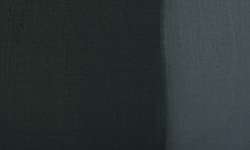 Ivory black