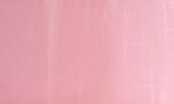 Pink coral