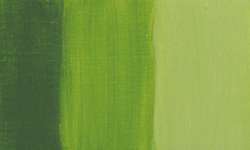 Bamboo green