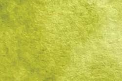 CHARVIN | Extra-Fine aquarelverf — los, ½ napje, Absinthe green