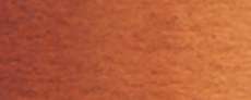 Burnt Sienna