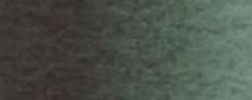 Shadow green