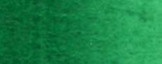 Bamboo green