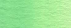 Compose green #1