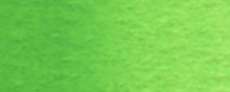 Permanent green #1
