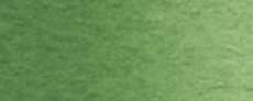 Terre verte