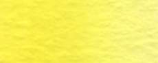 Permanent yellow lemon