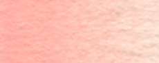 Shell pink