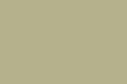 CANSON® | Mi-Teintes® Velvet pastelpapier — losse vellen, 50 cm x 65 cm, Pistachio green