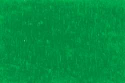 CARAN d'ACHE® | NEOART™ 6901 Artists'permanent wax oil pastel — los, heel krijtje, Grass green