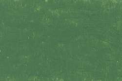 CARAN d'ACHE® | NEOART™ 6901 Artists'permanent wax oil pastel — los, heel krijtje, Moss green