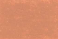 CARAN d'ACHE® | NEOART™ 6901 Artists'permanent wax oil pastel — los, heel krijtje, Burnt ochre