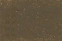 CARAN d'ACHE® | NEOART™ 6901 Artists'permanent wax oil pastel — los, heel krijtje, Raw umber
