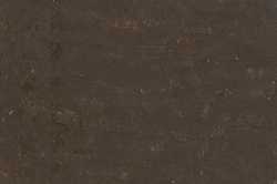 CARAN d'ACHE® | NEOART™ 6901 Artists'permanent wax oil pastel — los, heel krijtje, Sepia