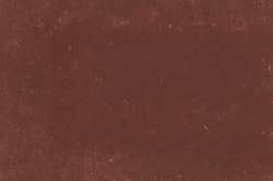 CARAN d'ACHE® | NEOART™ 6901 Artists'permanent wax oil pastel — los, heel krijtje, Burnt Sienna