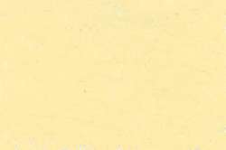 CARAN d'ACHE® | NEOART™ 6901 Artists'permanent wax oil pastel — los, heel krijtje, Primrose