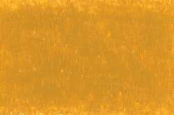 CARAN d'ACHE® | NEOART™ 6901 Artists'permanent wax oil pastel — los, heel krijtje, Ochre