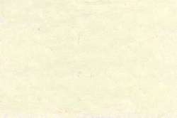CARAN d'ACHE® | NEOART™ 6901 Artists'permanent wax oil pastel — los, heel krijtje, Bismuthe white